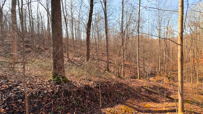 Wooded land with separate access points for hunting use