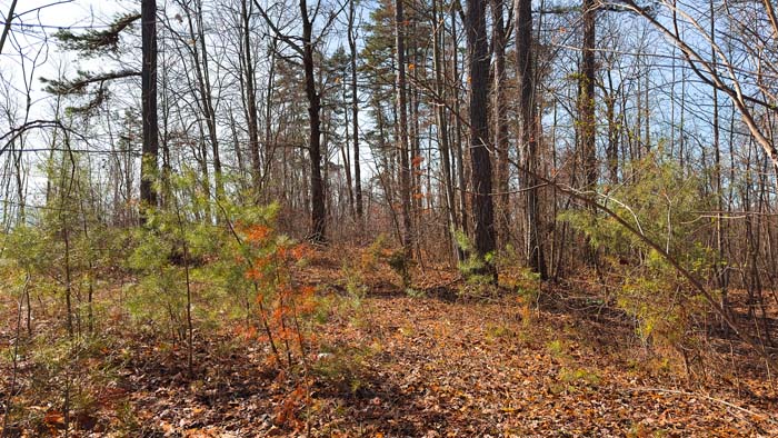 Recreational tract with divided sections for land management