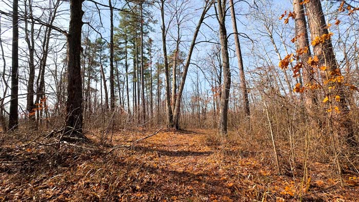 Southern Ohio acreage with smart hunting property design