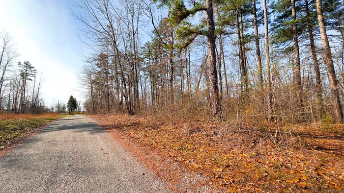 Wooded property offering controlled access to hunting areas