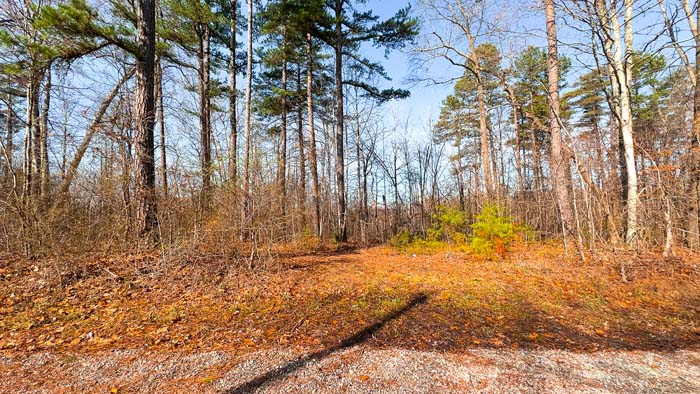 Land split by road creating ideal hunting strategy layout