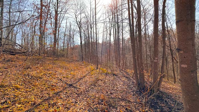 Camp area potential with easy access and open space