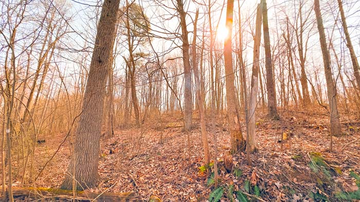 Wooded acreage suitable for weekend retreat or camp