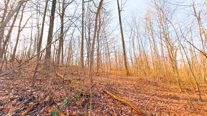 Property with accessible area for base camp or cabin