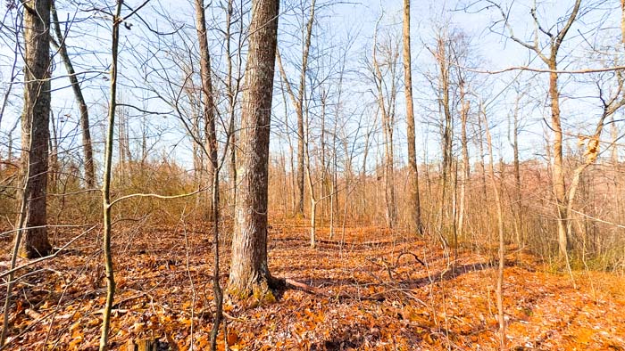 Recreational land with space for camp and outdoor use