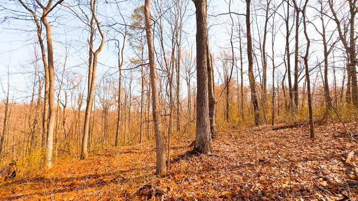 Private acreage with easy road access for camp setup