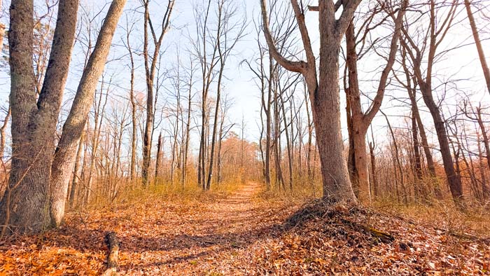 Southern Ohio land with convenient access and privacy