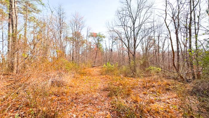 Southern Ohio hunting acreage with excellent bedding areas
