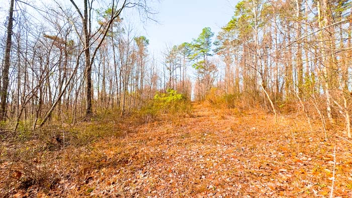 Recreational land with strong deer movement and cover