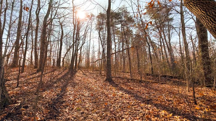 Recreational land with wooded ridges and quiet setting