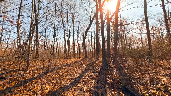 Private acreage ideal for hunting and outdoor recreation