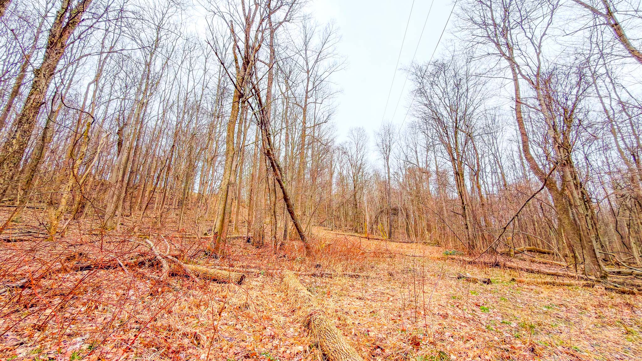 Turkey Ridge Road property entrance