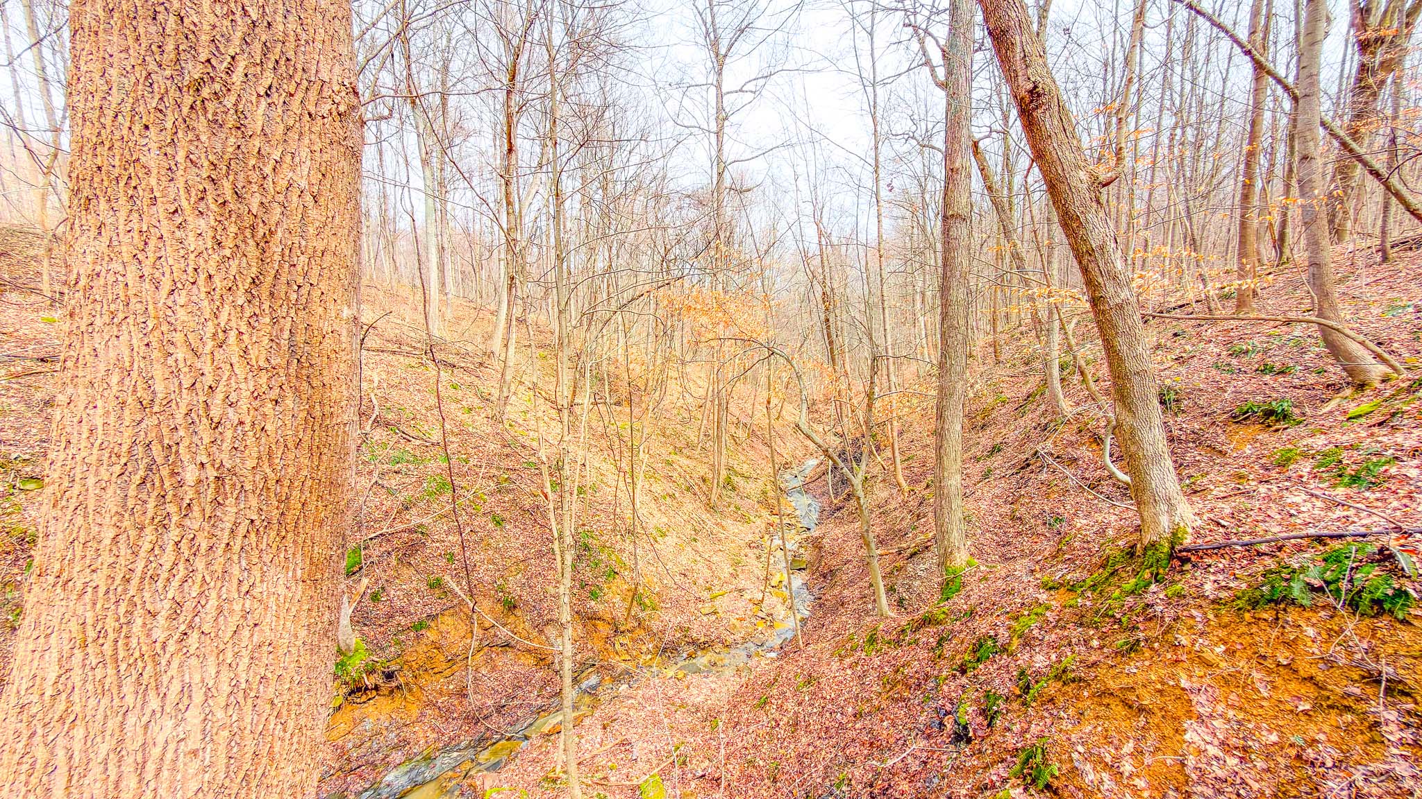 0 Turkey Ridge Road — 35.73-acre Ross County record-book whitetail hunting tract with scenic ravine, rocky stream, and 1,500 ft road frontage, South Salem, Ohio