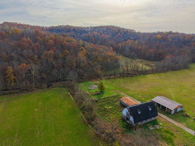 Thermal bedding Ohio deer