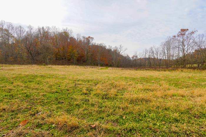 Ohio mast producing timber