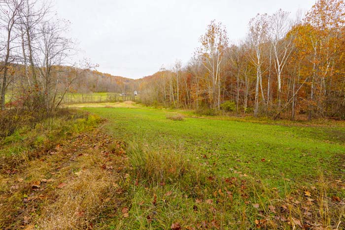 Ohio build site potential