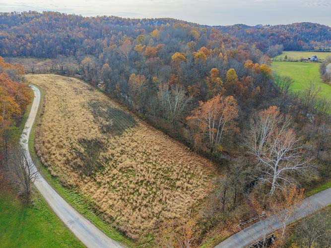 Ohio hinge cut habitat