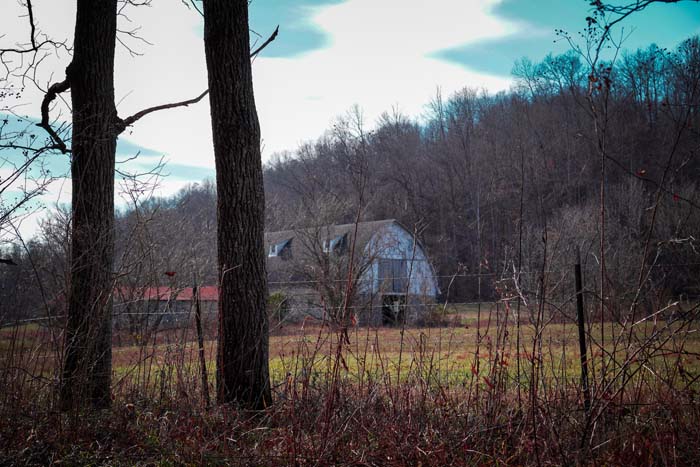Ohio wooded ridgeline