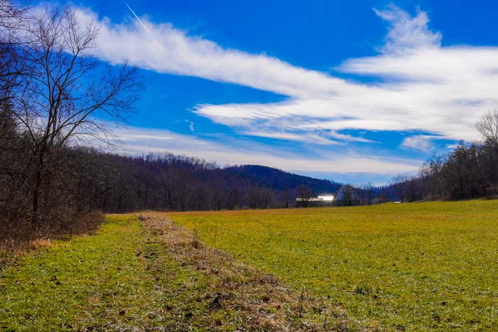 Deer sign Ohio property