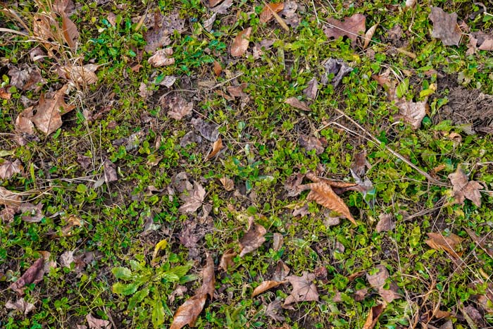 Lawrence County bow setup