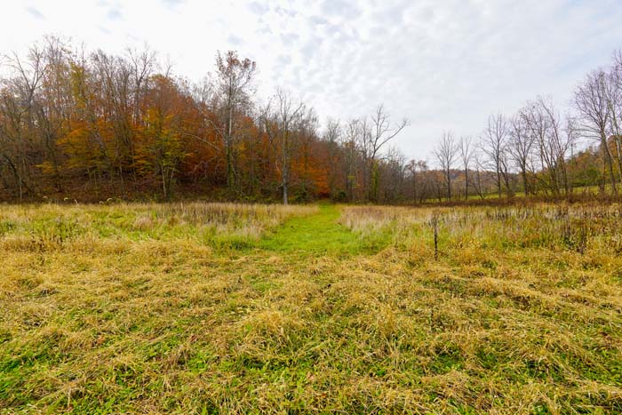 Lawrence County timber value