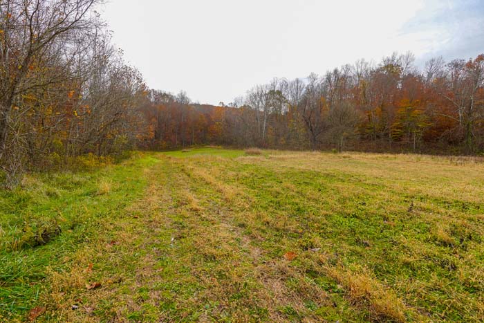 Ohio land management potential