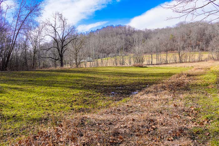 Ohio late season habitat