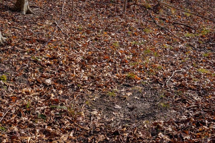 Ohio hunting funnel location