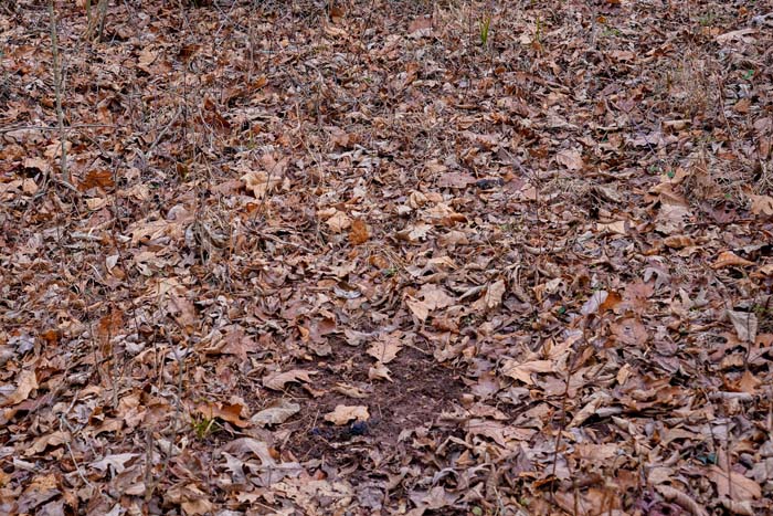 Lawrence County south slope