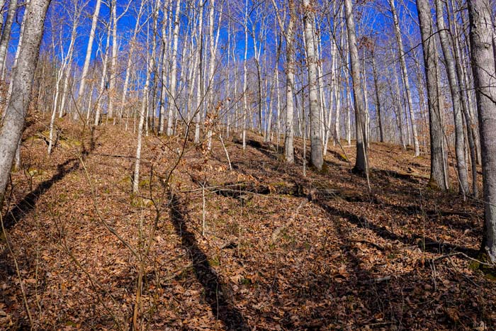 Creek access hunting land