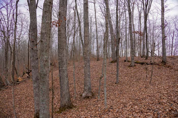 Ohio secluded build area