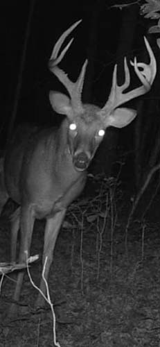 Southeast Ohio hunting farm