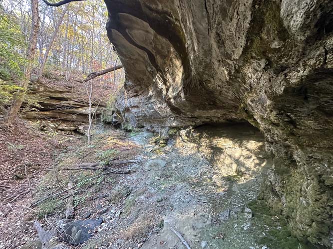 Ohio wildlife habitat diversity