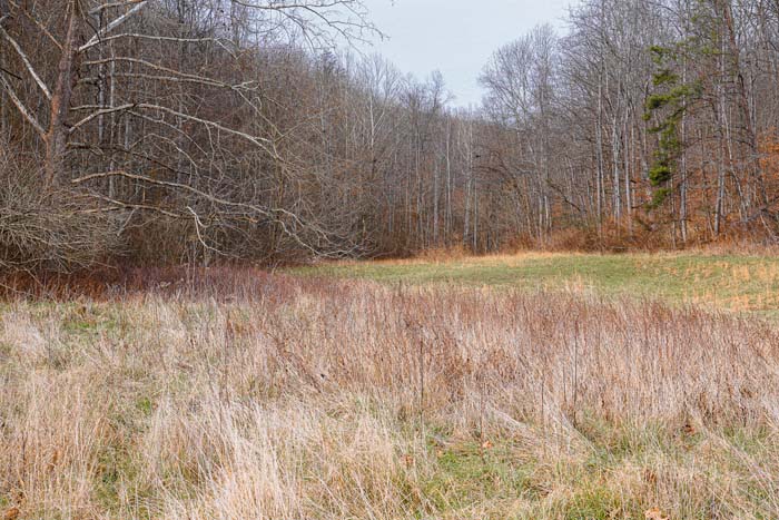 Ohio back ridge trail