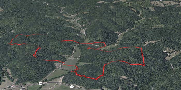 Lawrence County oak ridge