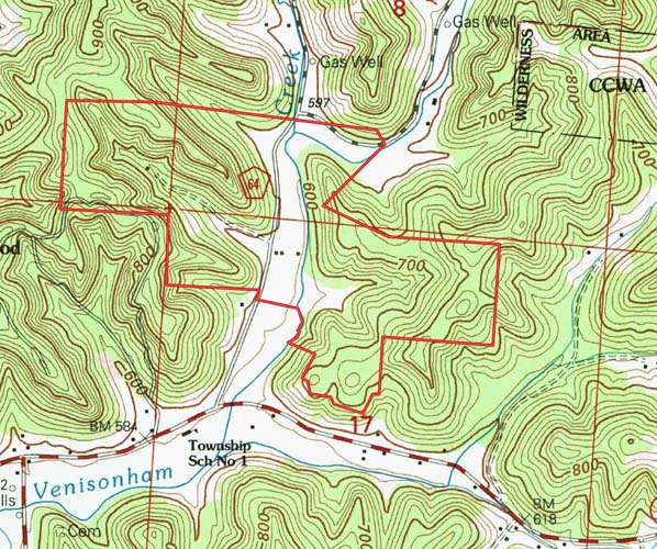 Whitetail sign heavy area