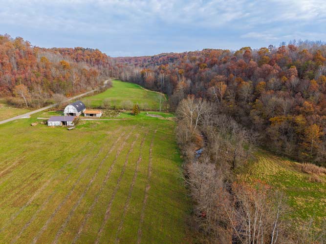 Hunting land elevation view