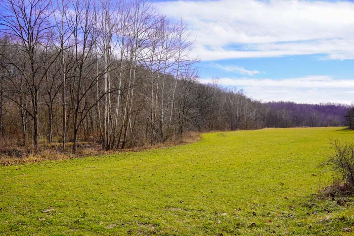 Lawrence County hunting access