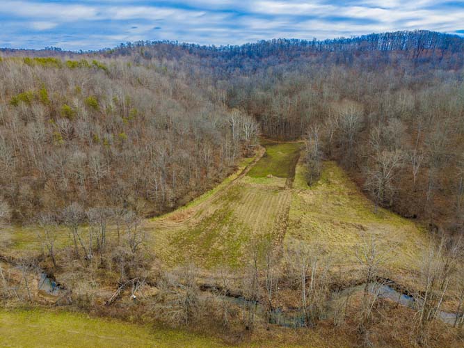 Ohio back country timber