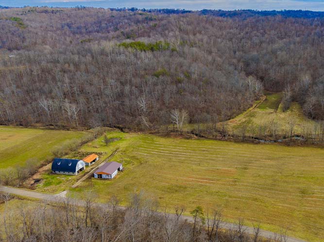 Ohio natural deer bedding