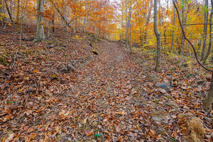 Hunting land interior ridge