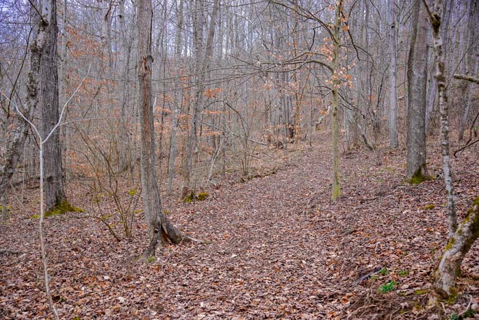 Lawrence County secluded hollow