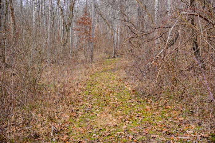 Ohio big tract hunting land