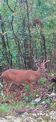Ohio hunting trails interior