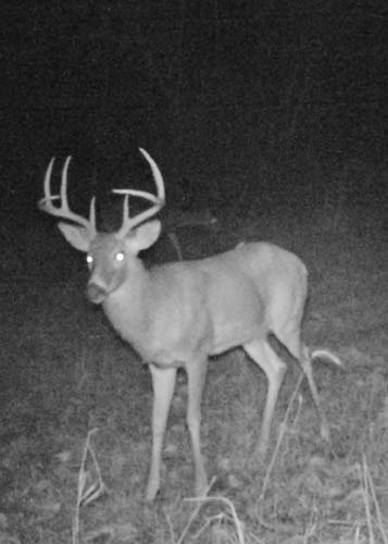 Lawrence County internal access