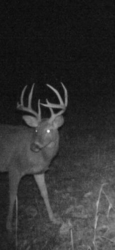 Hunting land creek habitat