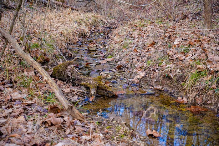 Ohio timber value acreage