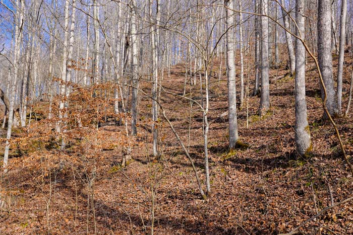 Ohio hunt ready property