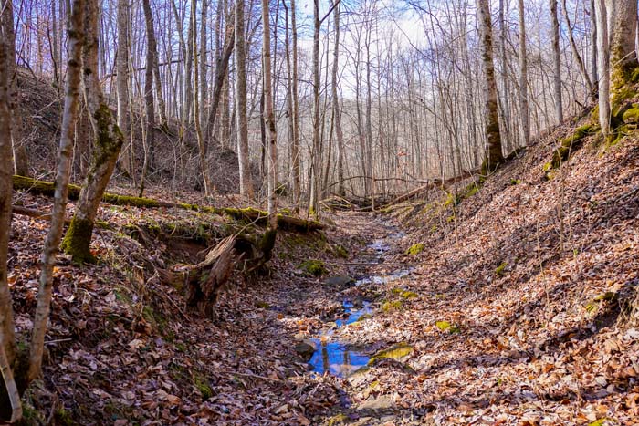 Ohio interior ridge trail