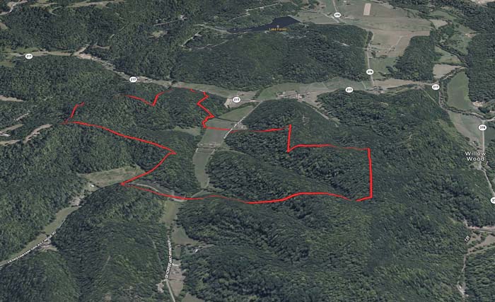 Whitetail funnels Ohio land